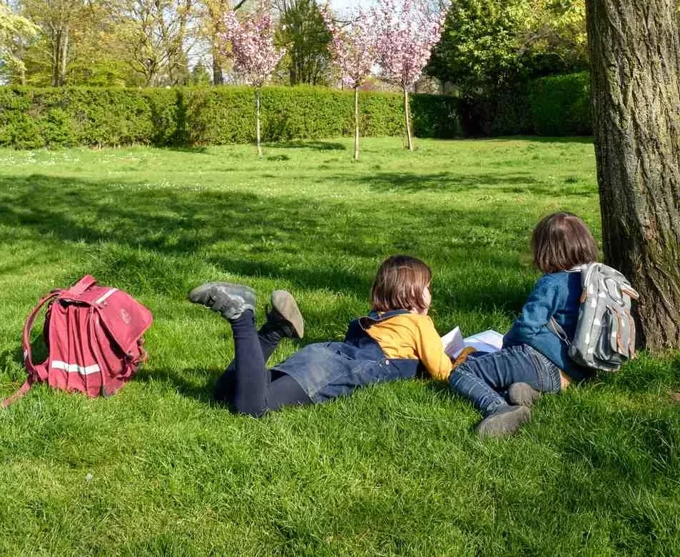 Récolte de jeux et jouets